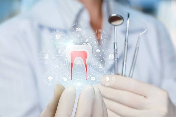 Best Dental Fillings (Composite and Amalgam)  in Alderwood Manor, WA
